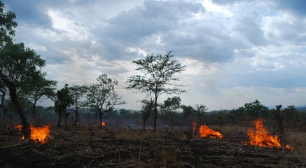 Benishangul Gumuz, Ethiopia: Forest fires