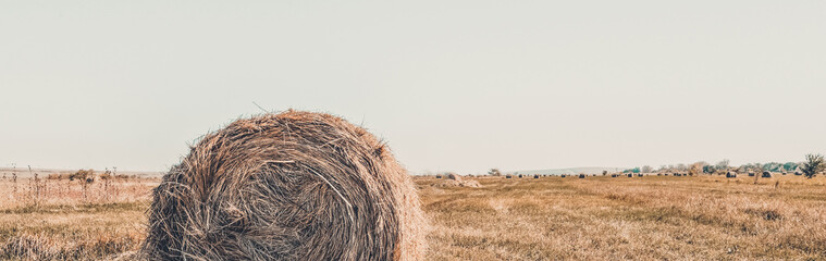 Hay roll on a meadow on a warm summer or autumn day, blue sky. Beautiful landscape. Agricultural field. Hay bale in field.