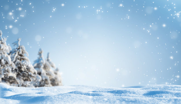 winterwald leerer hintergrund