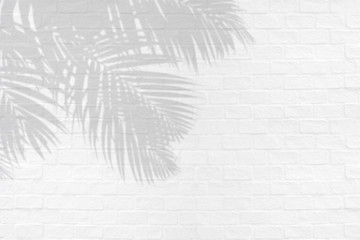 Tropical palm leaves shadows on white brick wall texture background.