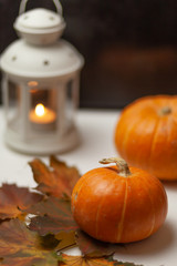 Two orange pumpkins on a dark brown, white wooden background. Decorative lantern with a burning candle. Near lie maple leaves. Autumn composition. Halloween. Harvest. Postcard