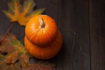 Two orange pumpkins on a dark brown wooden background. Lay next to the maple leaves. Autumn composition. Halloween. Harvest. Postcard