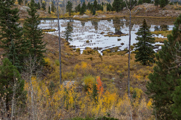 Wetland area Colorado in autumn beaver dam