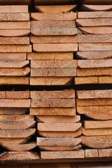 sawn wood background. cut of wood texture