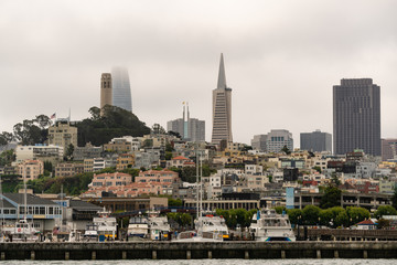 Boats Float at the Marina Near Pier 39 and the Ferry Dock San Francisco CA