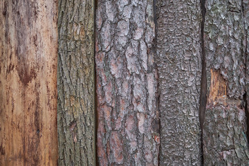 background of the old wooden logs