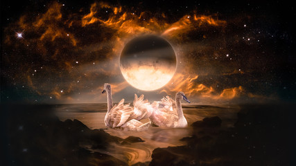 Couple of swans dancing in the landscape in fantasy alien planet sea with flaming moon and galaxy...