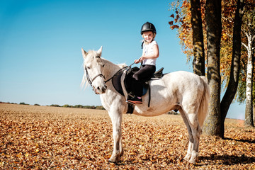 weißes pony mit kind