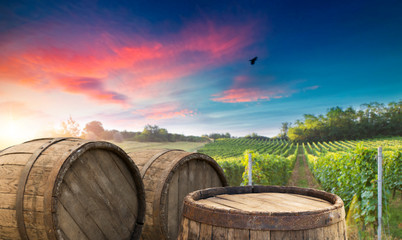 Obraz premium Red wine with barrel on vineyard in green Tuscany, Italy