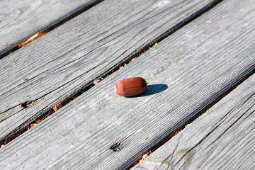 Ripe fallen brown acorn lies on the surface of wooden boards. The acorn has an oval shape and...
