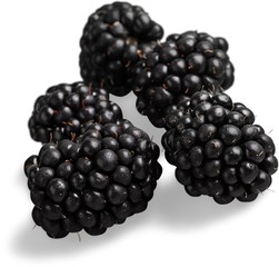 Blackberries