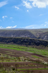 Naklejka premium landscape on the hill