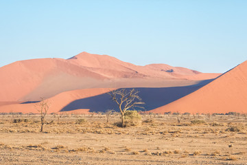 Fototapeta na wymiar Red sand dunes in Namibia