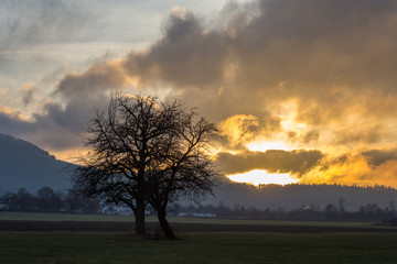 Obraz premium Abendstimmung im Vorland der Schwäbischen Alb
