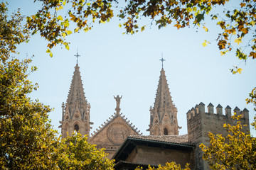 Naklejka premium Famous gothic Cathedral La Seu seen through the window of trees, Palma de Mallorca, Mallorca island, Balearic Islands