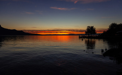 Fototapeta na wymiar Sky. Sunset. Color. Lake. Vevey. Silhouette. Ducks