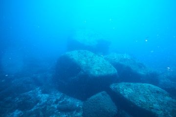 beautiful underwater with the coral reef at Losin diving spot south of Thailand
