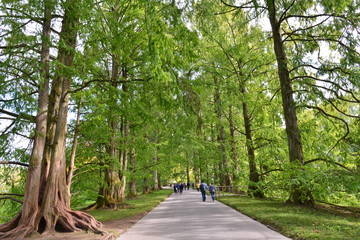 Insel Mainau im Bodensee 