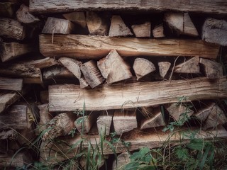 Holzstapel im Wald