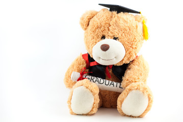 Teddy bear with graduation attire on white background.education concept