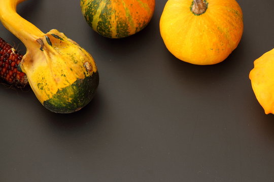 Ornamental pumpkin close-up 