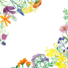 Watercolor composition isolated healing plants on white background