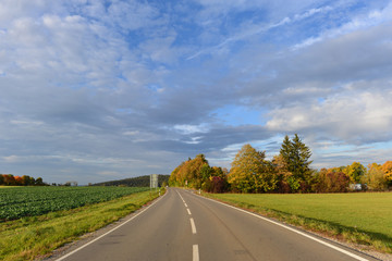 Fototapeta premium Landstrasse im Schwarzwald-Baar-Kreis in Baden-Württemberg 