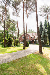 A paved road through trees, evergreens and grass leading to a classic English house in the suburbs.