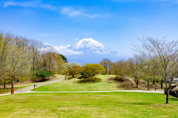 Fototapeta na wymiar 富士山と早春の田貫湖キャンプ場、静岡県富士宮市にて