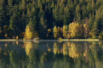 Autumn landscape of the colorful forest, at the mountain lake edge, with beautiful reflexions