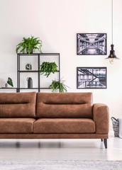 Shelf with green plants behind big comfortable leather sofa in white living room with industrial posters on the wall