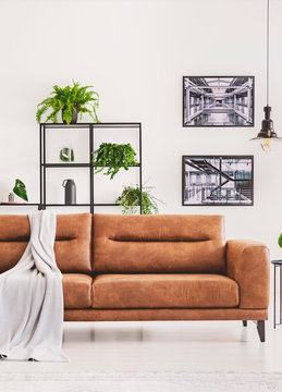 Grey blanket on brown leather sofa in bright modern apartment with industrial posters on the wall and plants on the shelf