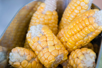 Small fruits of corn from the bios.