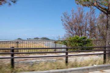沖縄の景色