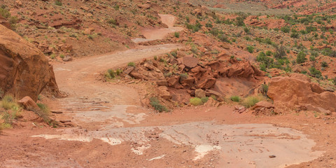 Winding trail on a red rocky terrain in Moab Utah
