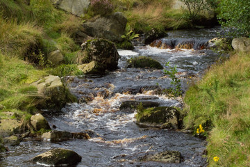 Rural Rocky Stream Along The Nidderdale Way, Ashfold Side Beck ,Pateley Bridge, North Yorkshire, England, UK.
