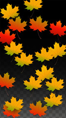 September Vector Background with Golden Falling Leaves. Autumn Illustration with Maple Red, Orange, Yellow Foliage. Isolated Leaf on Transparent Background. Bright Swirl. Suitable for Posters.