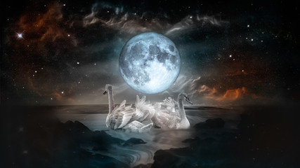 Paar weiße Schwäne tanzen in der Landschaft des Nachtmeeres mit Narrenmond und Galaxiesternhintergrund.