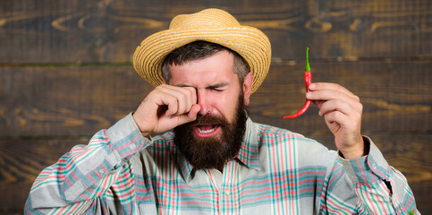 Farmer presenting hot chilli pepper wooden background. Pepper harvest concept. Rustic farmer in...
