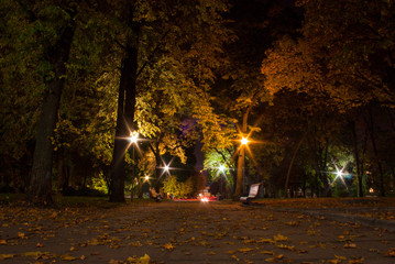autumn in the park