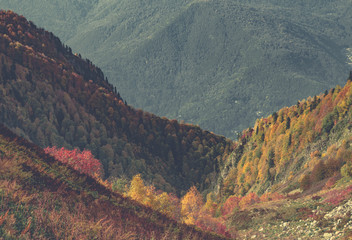 Autumn in the mountains of Krasnaya Polyana