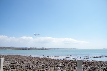 沖縄の海