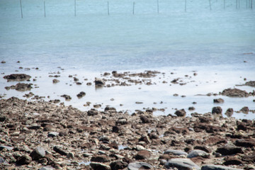 沖縄の海