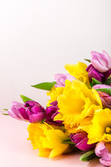 Beautiful Bunch of Tulips and yellow Daffodils on the Pink Backg