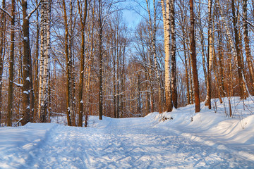 Landscape. Ski track in a beautiful winter forest.