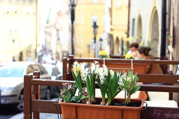 outdoor cafe / table and serving in an outdoor cafe in Paris, France, summer meal outdoors