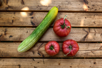 Organic Vegetables from a Small Garden on a Rustic Wooden Table - Tomatoes and Cucumber