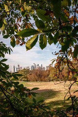 Autumn coloured view of Canary Wharf,the financial district of London, through the trees