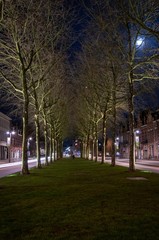 Fototapeta na wymiar Den Bosch, Netherlands, by Night with a moon shining through the trees