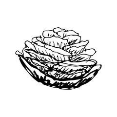 flower sketche of black color. Drawing vector graphics with floral pattern for design.